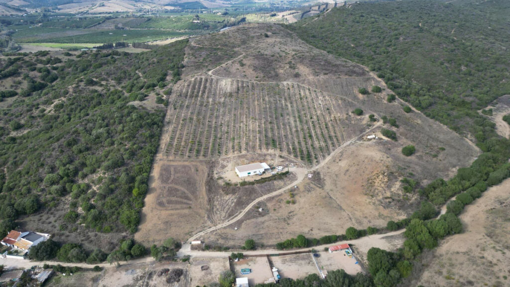 Land Manilva Málaga - image 4