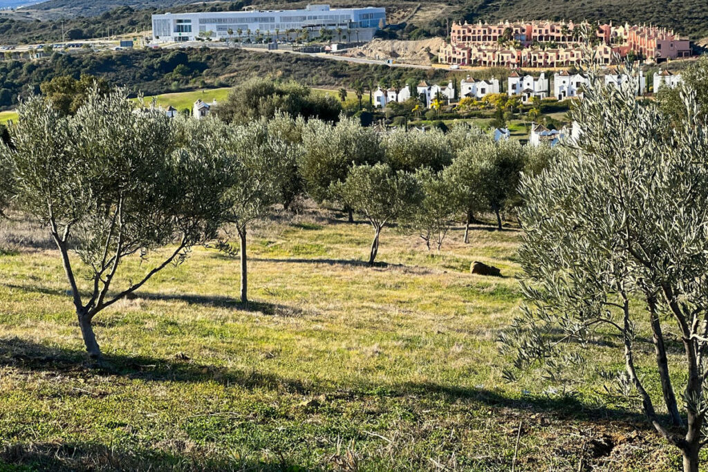 Detached Villa Estepona Málaga - image 50