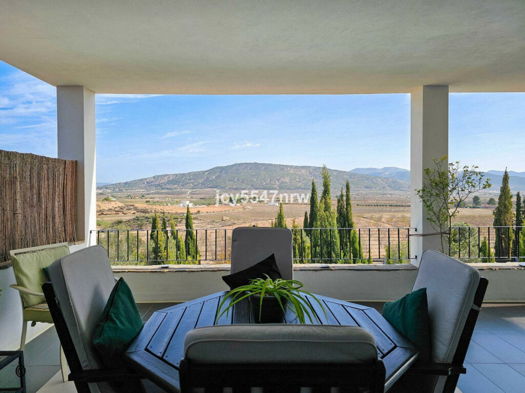 Detached Villa Pinoso Alicante - image 42