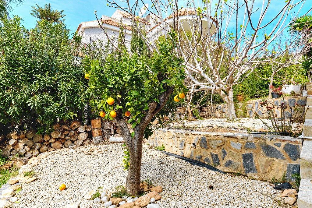 Detached Villa Dehesa de Campoamor Alicante - image 42