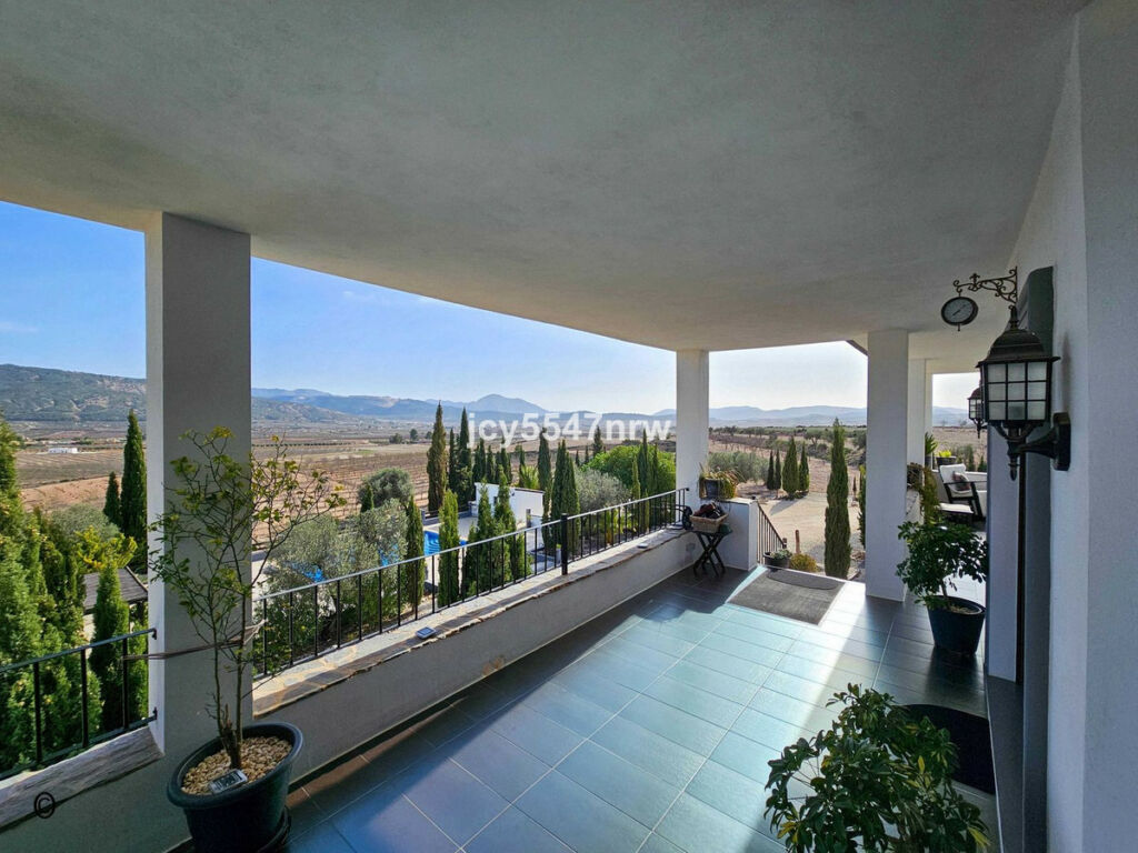 Detached Villa Pinoso Alicante - image 43