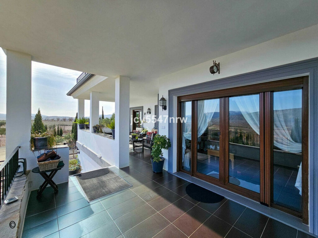 Detached Villa Pinoso Alicante - image 44