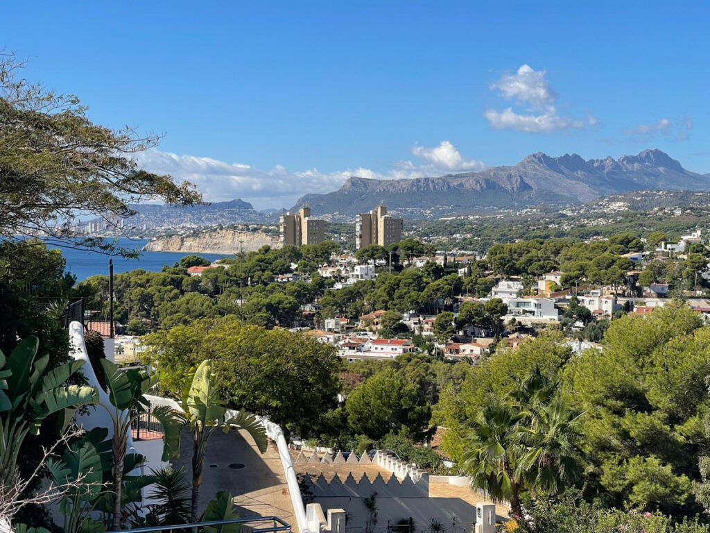 Detached Villa El Portet Alicante - image 44