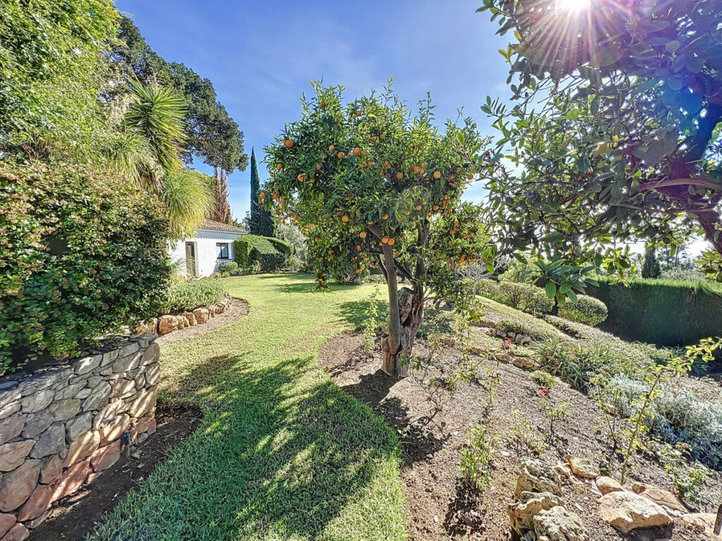 Detached Villa Mijas Málaga - image 45