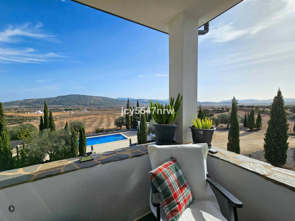 Detached Villa Pinoso Alicante - image 45