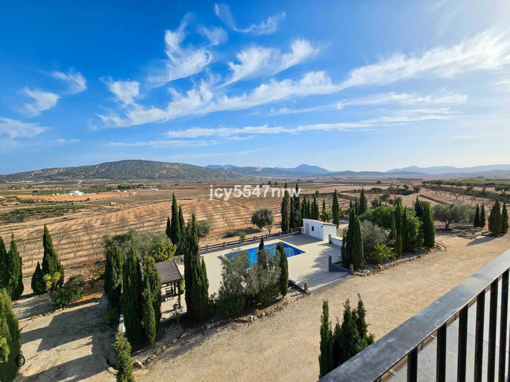 Detached Villa Pinoso Alicante - image 46
