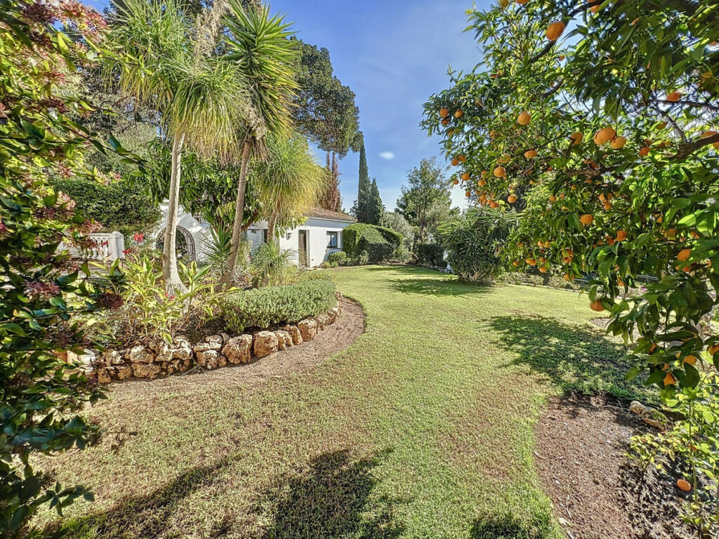 Detached Villa Mijas Málaga - image 46
