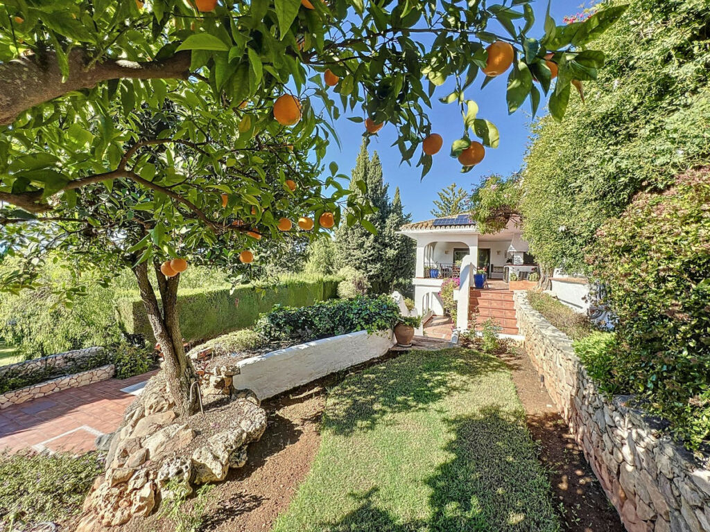 Detached Villa Mijas Málaga - image 48