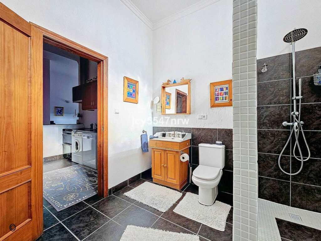 Detached Villa Pinoso Alicante - image 49
