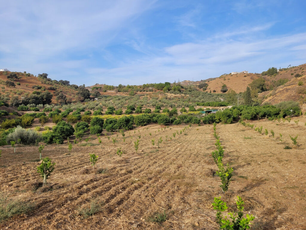 Land Guaro Málaga - image 5