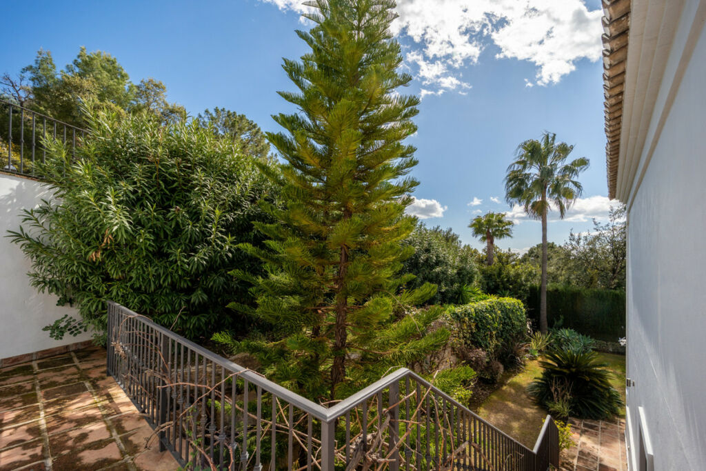 Detached Villa Istán Málaga - image 5
