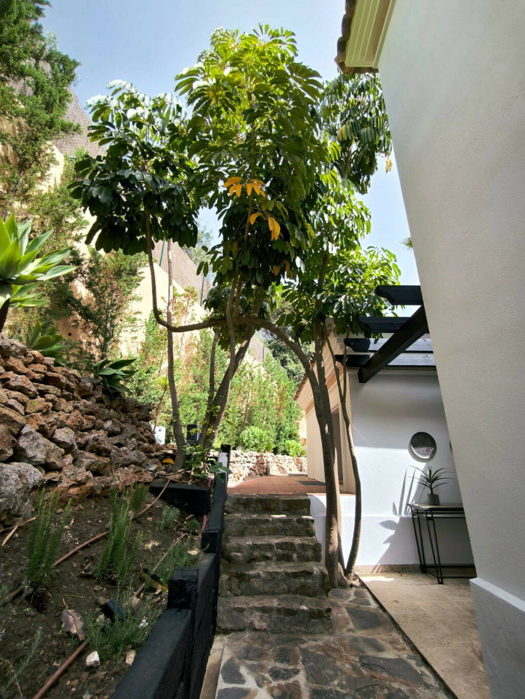 Detached Villa El Madroñal Málaga - image 5