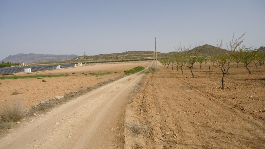 Land Cañada del Trigo Murcia - image 5