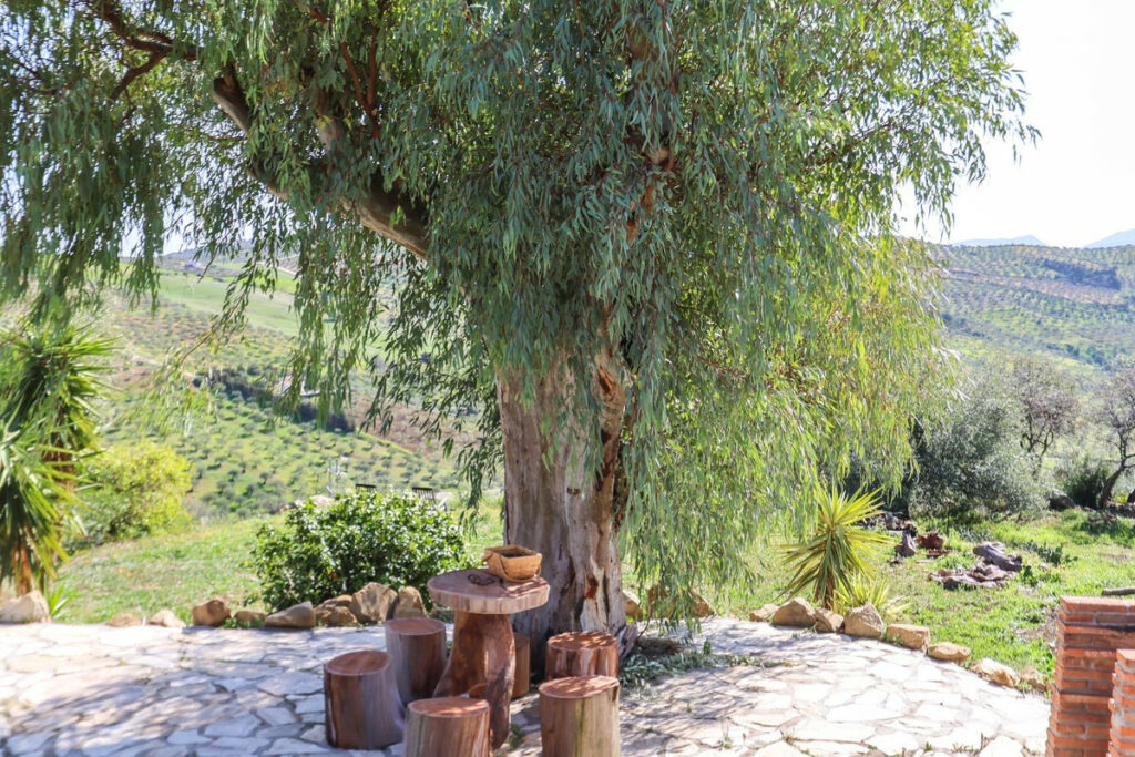 Detached Villa Alozaina Málaga - image 51