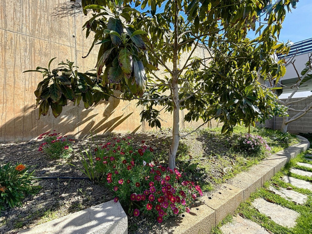 Detached Villa Torrox Málaga - image 50