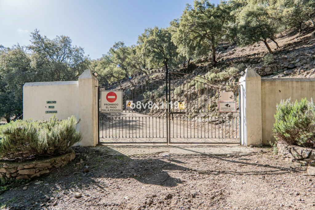 Finca - Cortijo Jubrique Málaga - image 50