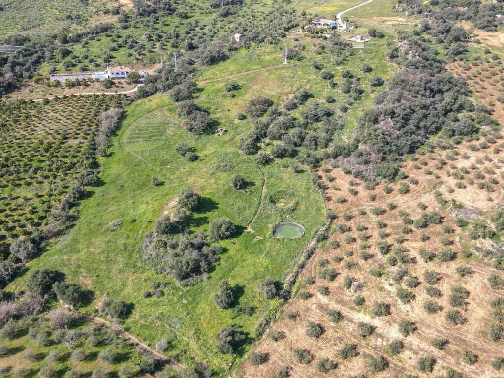 Detached Villa Alozaina Málaga - image 54