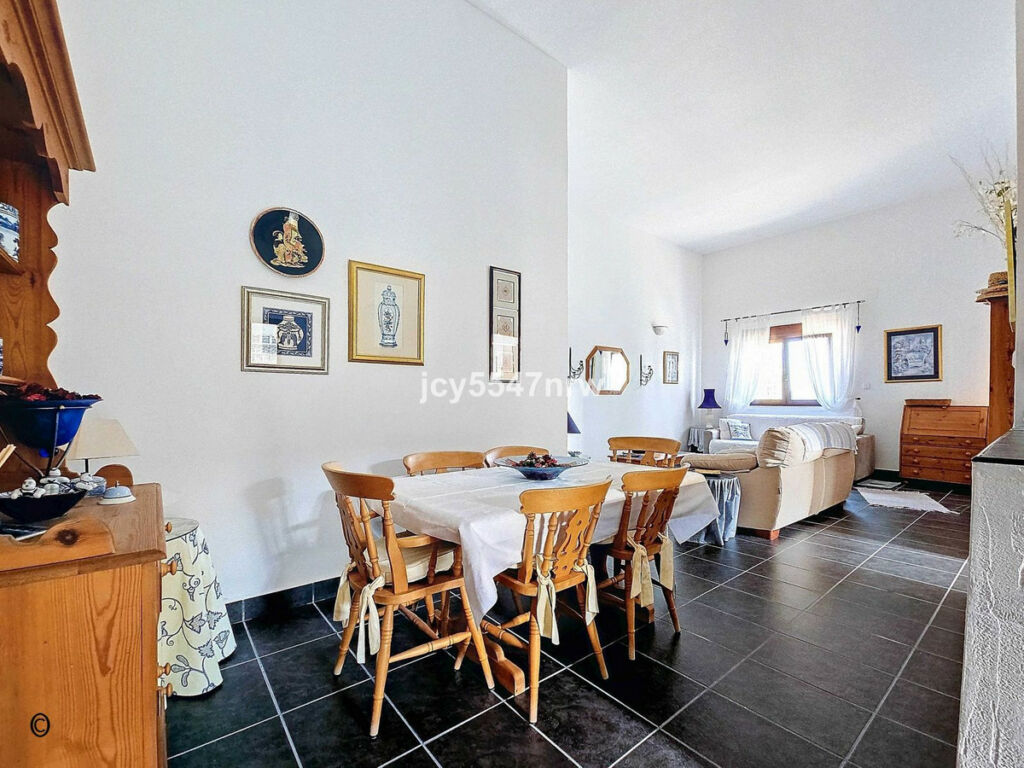 Detached Villa Pinoso Alicante - image 54