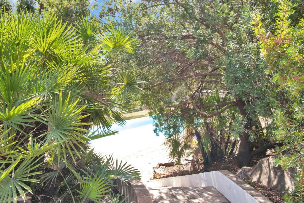 Finca - Cortijo Gaucín Málaga - image 55