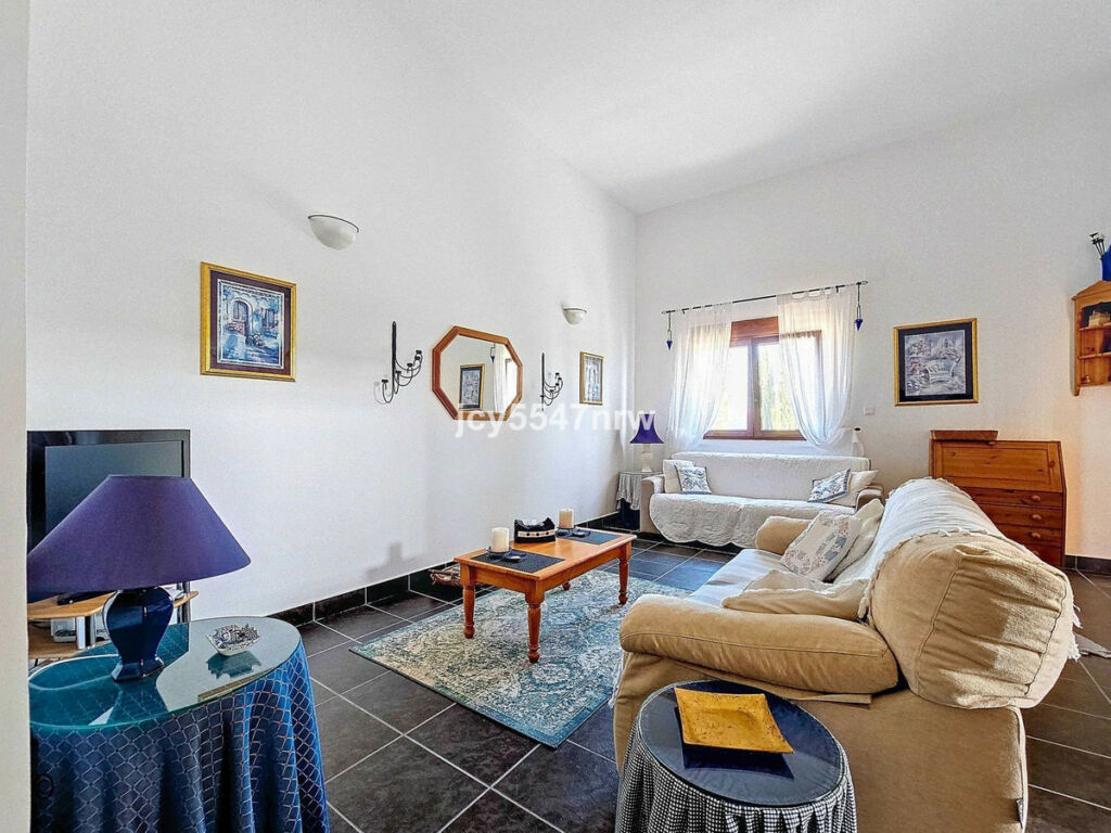 Detached Villa Pinoso Alicante - image 55