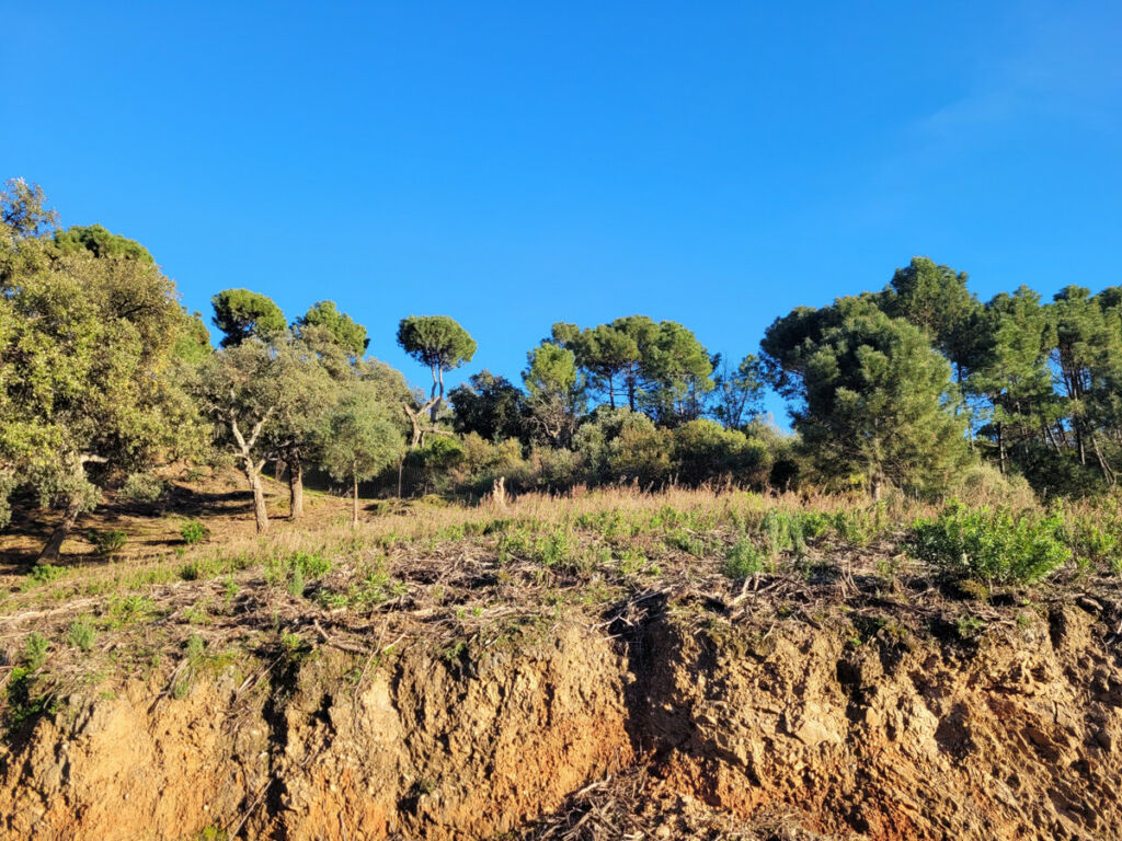 Land La Zagaleta Málaga - image 6