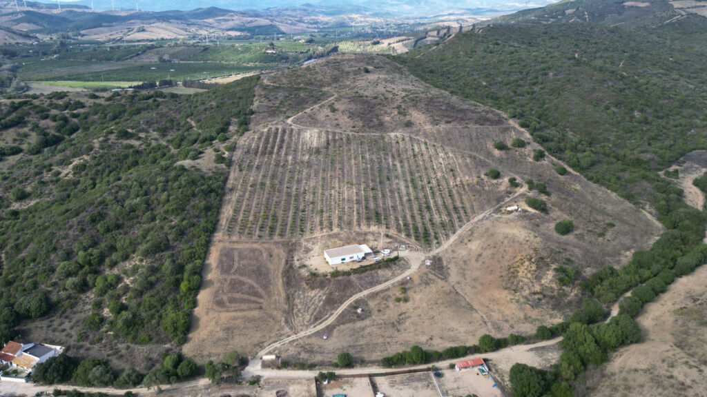 Land Manilva Málaga - image 6