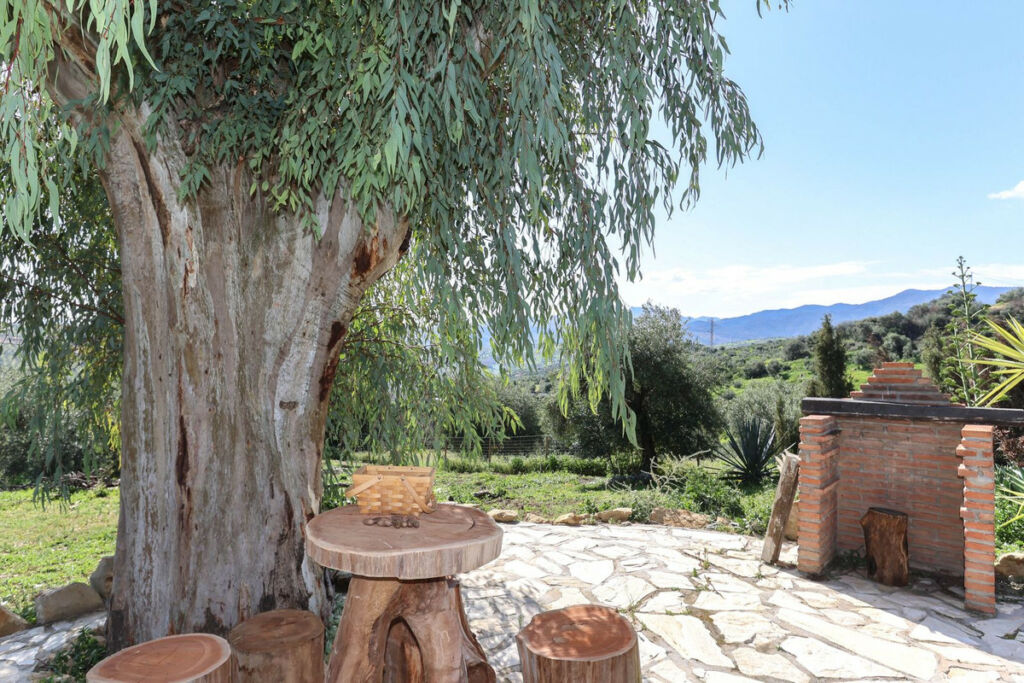 Detached Villa Alozaina Málaga - image 7