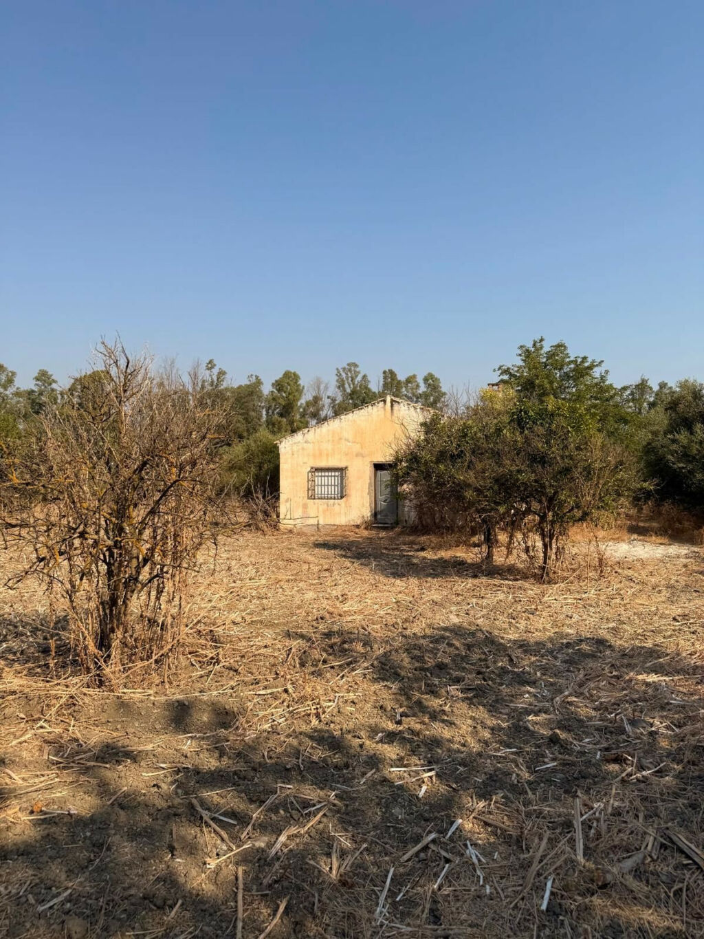 Finca - Cortijo Coín Málaga - image 6