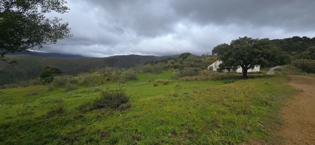 Land Benahavís Málaga - image 6