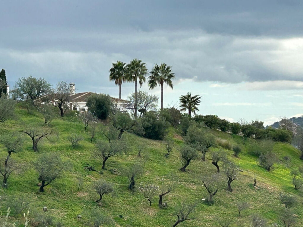 Finca - Cortijo Guaro Málaga - image 5