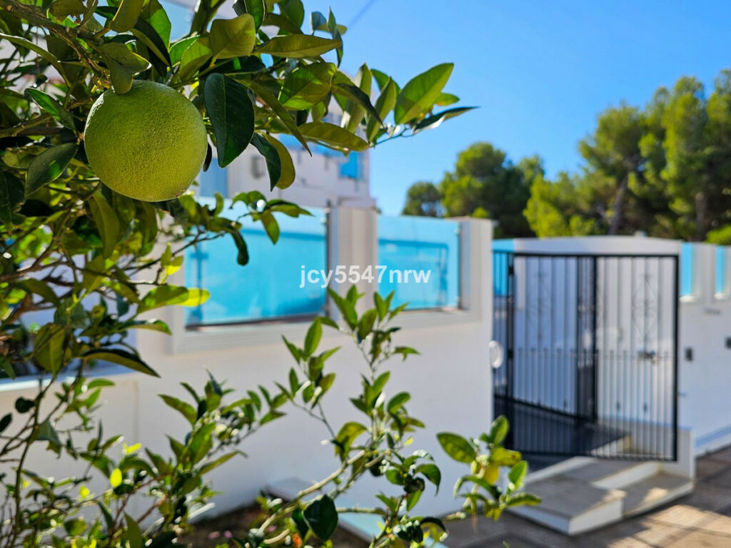 Detached Villa Moraira Alicante - image 64