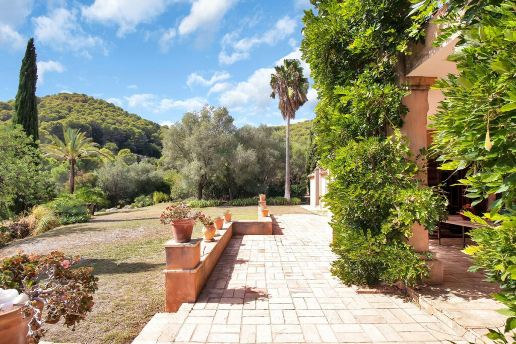 Finca - Cortijo Gaucín Málaga - image 64