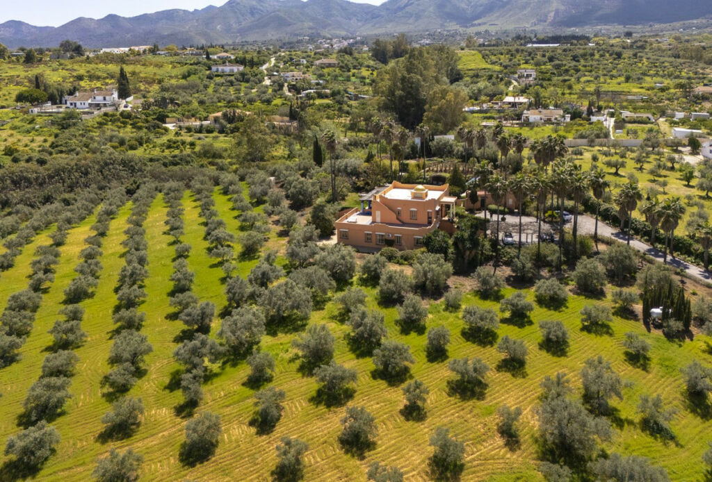 Finca - Cortijo Alhaurín el Grande Málaga - image 65
