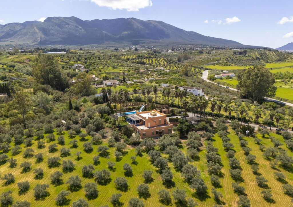 Finca - Cortijo Alhaurín el Grande Málaga - image 66