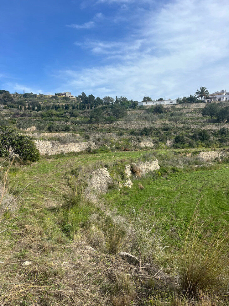 Land Pedramala Alicante - image 7