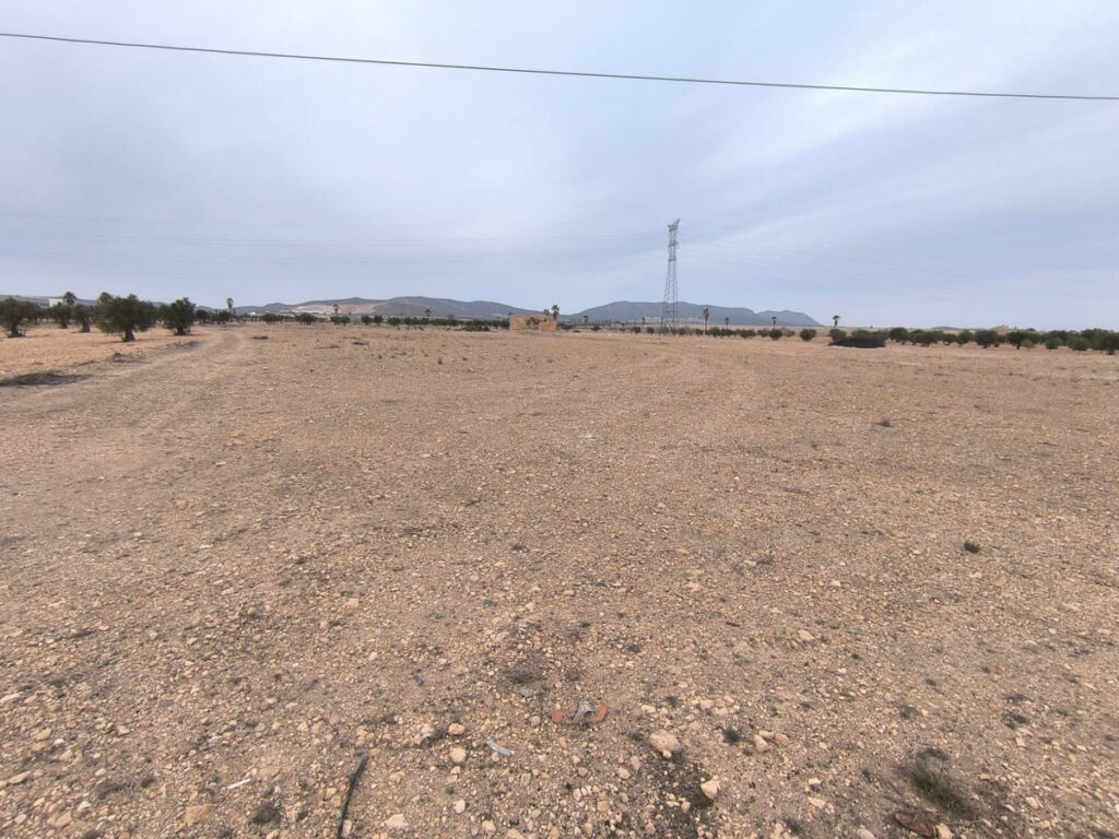 Land Yecla Murcia - image 7