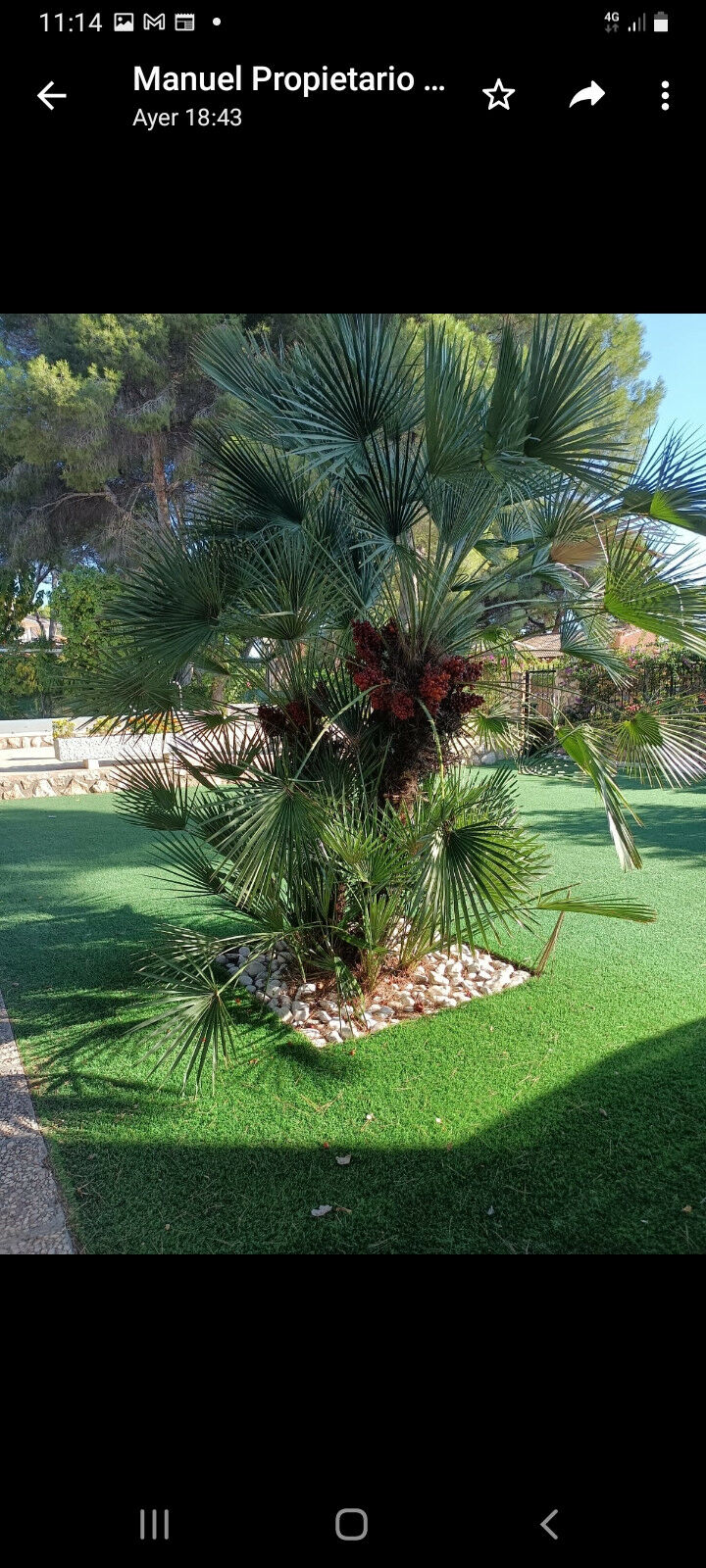 Detached Villa Campoamor Alicante - image 7