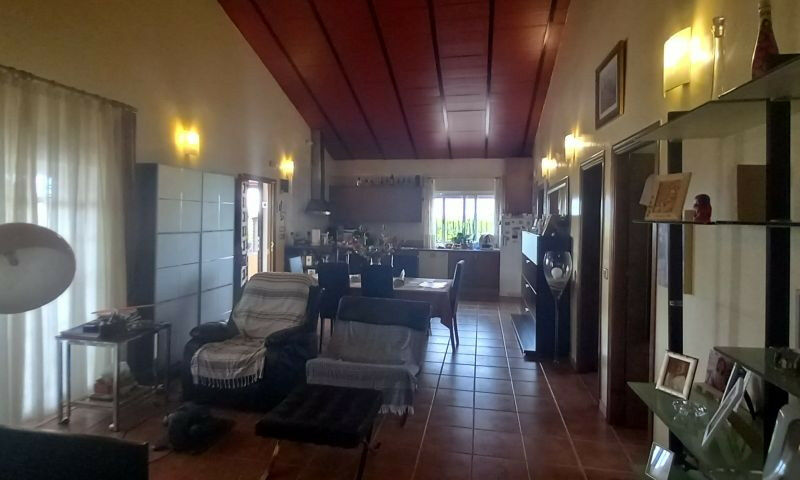 Finca - Cortijo San Javier Murcia - image 7