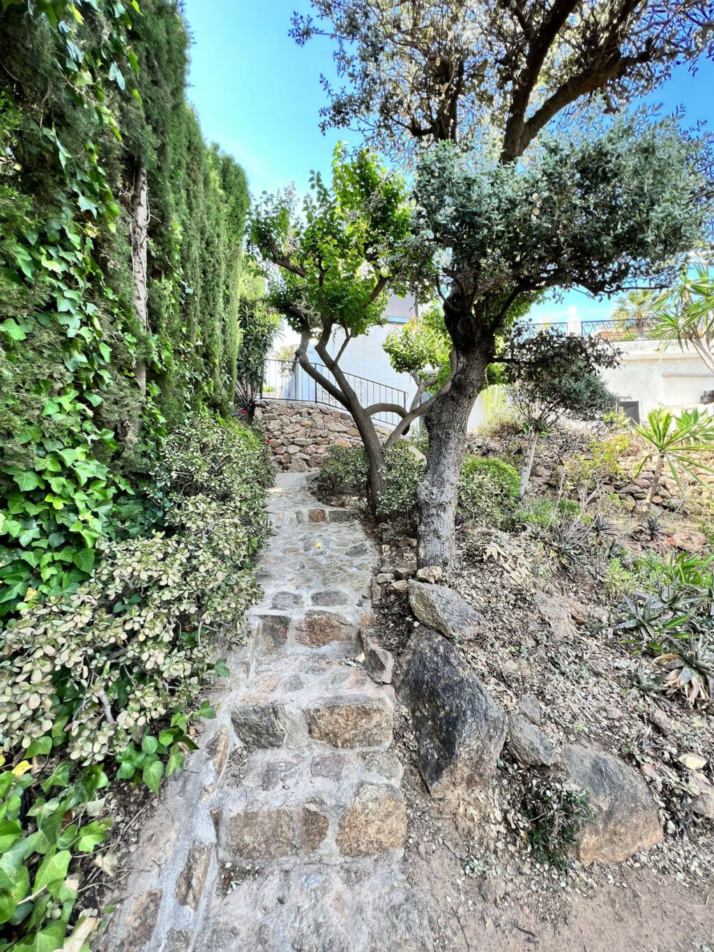 Detached Villa Mijas Málaga - image 46