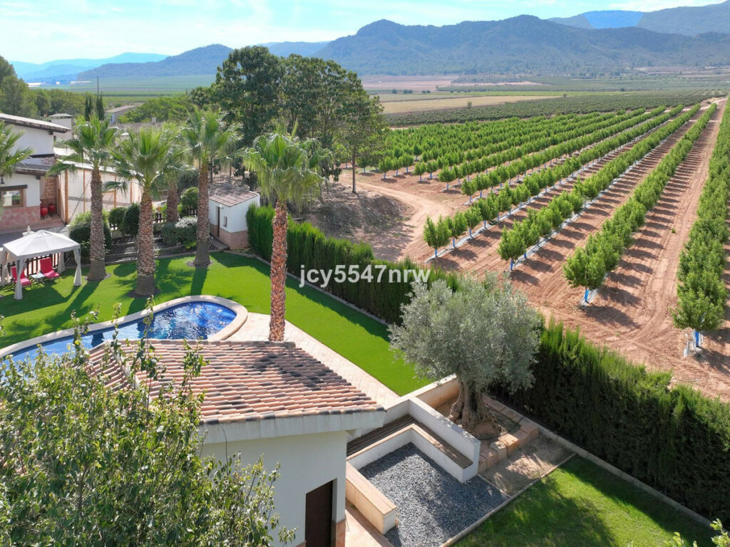 Finca - Cortijo Yecla Murcia - image 71