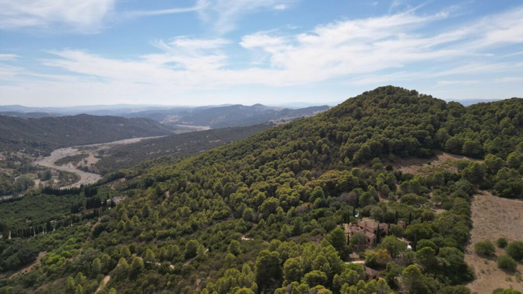 Finca - Cortijo Gaucín Málaga - image 73