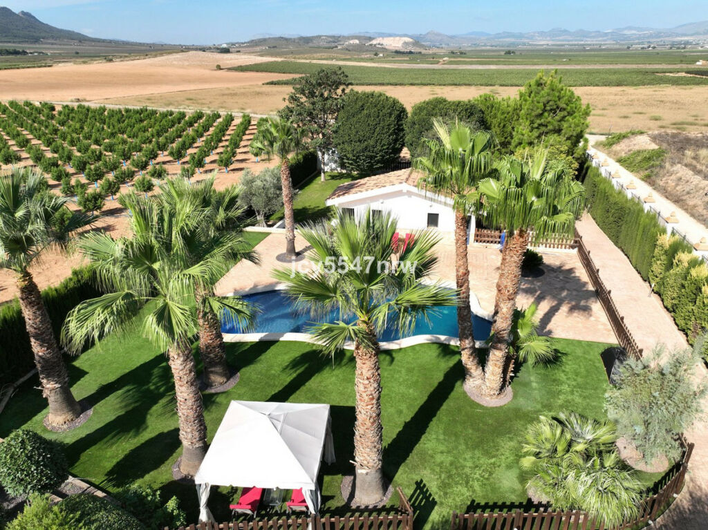 Finca - Cortijo Yecla Murcia - image 76