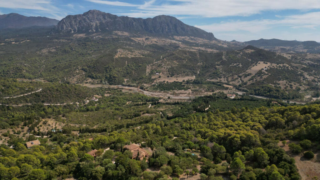 Finca - Cortijo Gaucín Málaga - image 74
