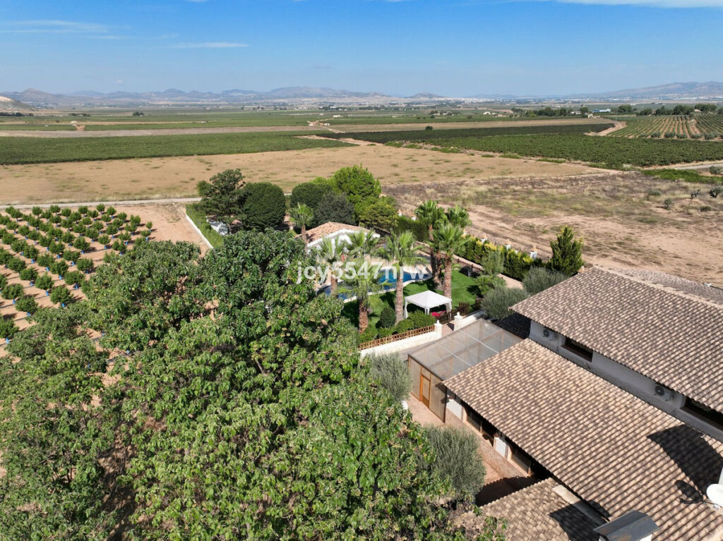 Finca - Cortijo Yecla Murcia - image 77