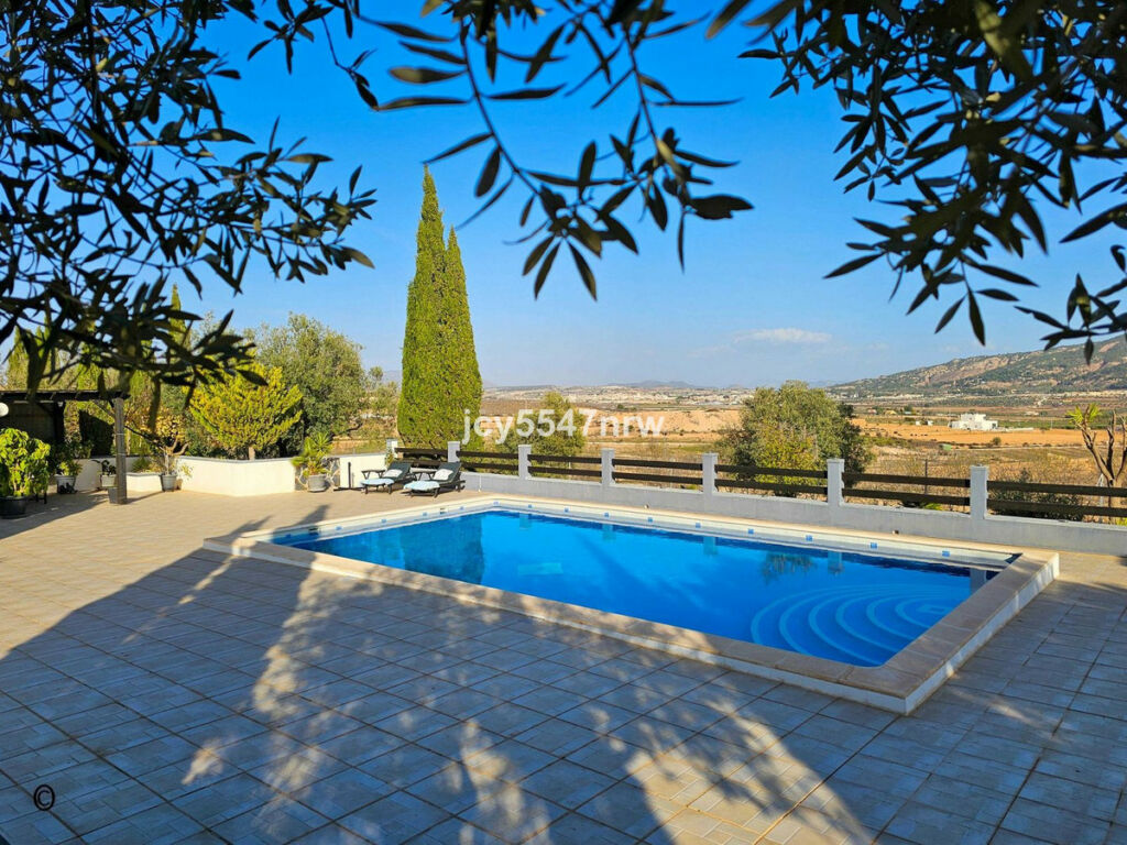 Detached Villa Pinoso Alicante - image 78