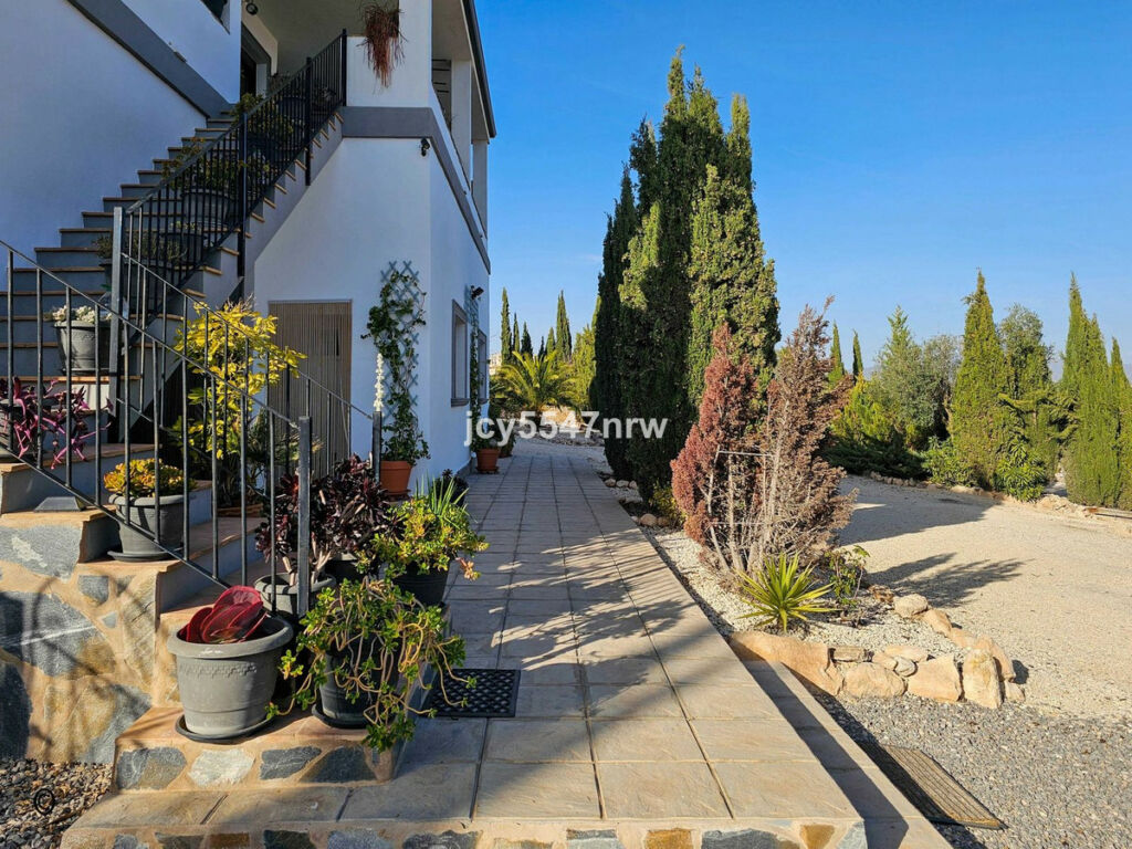 Detached Villa Pinoso Alicante - image 79
