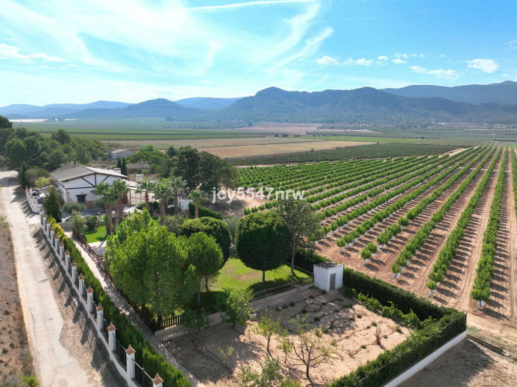 Finca - Cortijo Yecla Murcia - image 79