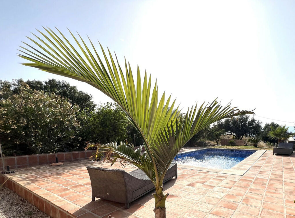 Detached Villa Canillas de Aceituno Málaga - image 8