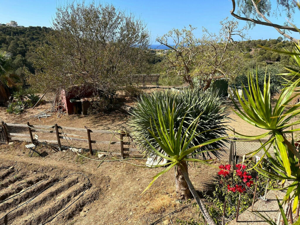 Land Cabopino Málaga - image 8