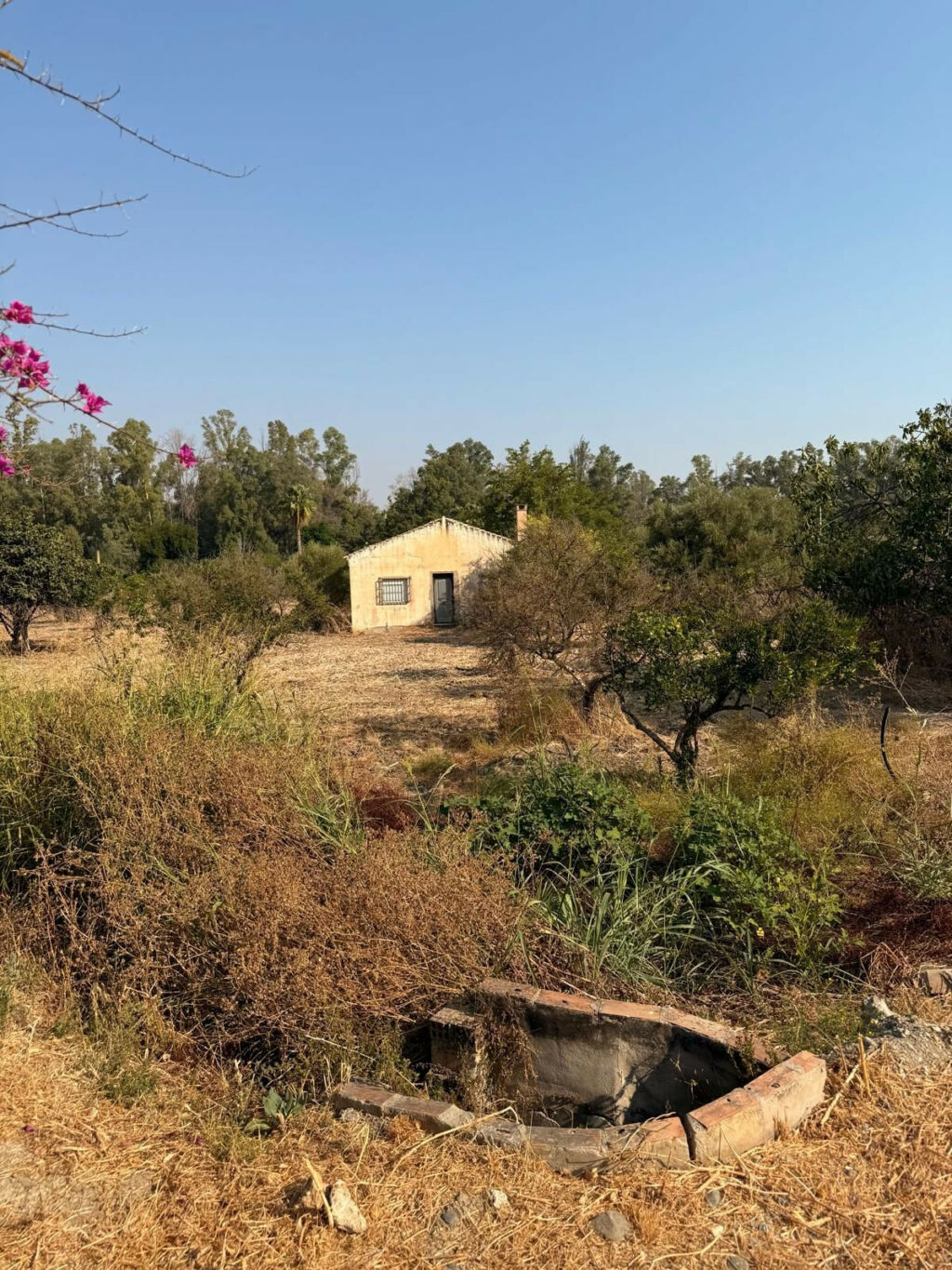 Finca - Cortijo Coín Málaga - image 8